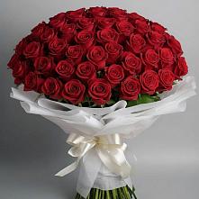 Букет 101 Красная роза Блэк Мэджик в Розе Челябинской области