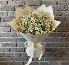 Букет цветов из:  Ромашки в Розе Челябинской области