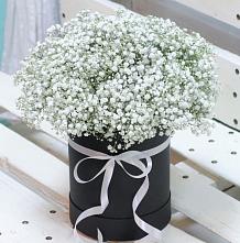 Цветочная композиция из Гипсофила в шляпной коробке #REPLACE_PRED# Розе Челябинской области