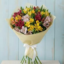 Букет цветов из:  Альстромерии в Розе Челябинской области