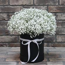 Цветочная композиция из Гипсофила в шляпной коробке в Розе Челябинской области