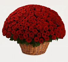 Премиум букет из: Розы в Розе Челябинской области