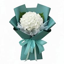 Букет цветов из:  Гортензия в Розе Челябинской области